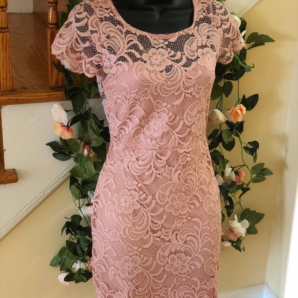Blush Laced/Crochet Midi Dress - Picture 5 of 12